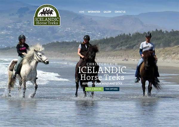 Icelandic Horse Treks