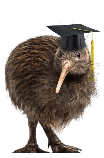 Advanced Web Design - for serious business owners. advanced-business-website_8-df2bb60e